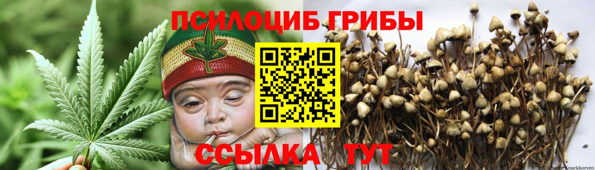 Псилоцибиновые грибы прущие грибы Северск